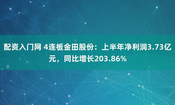配资入门网 4连板金田股份：上半年净利润3.73亿元，同比增长203.86%